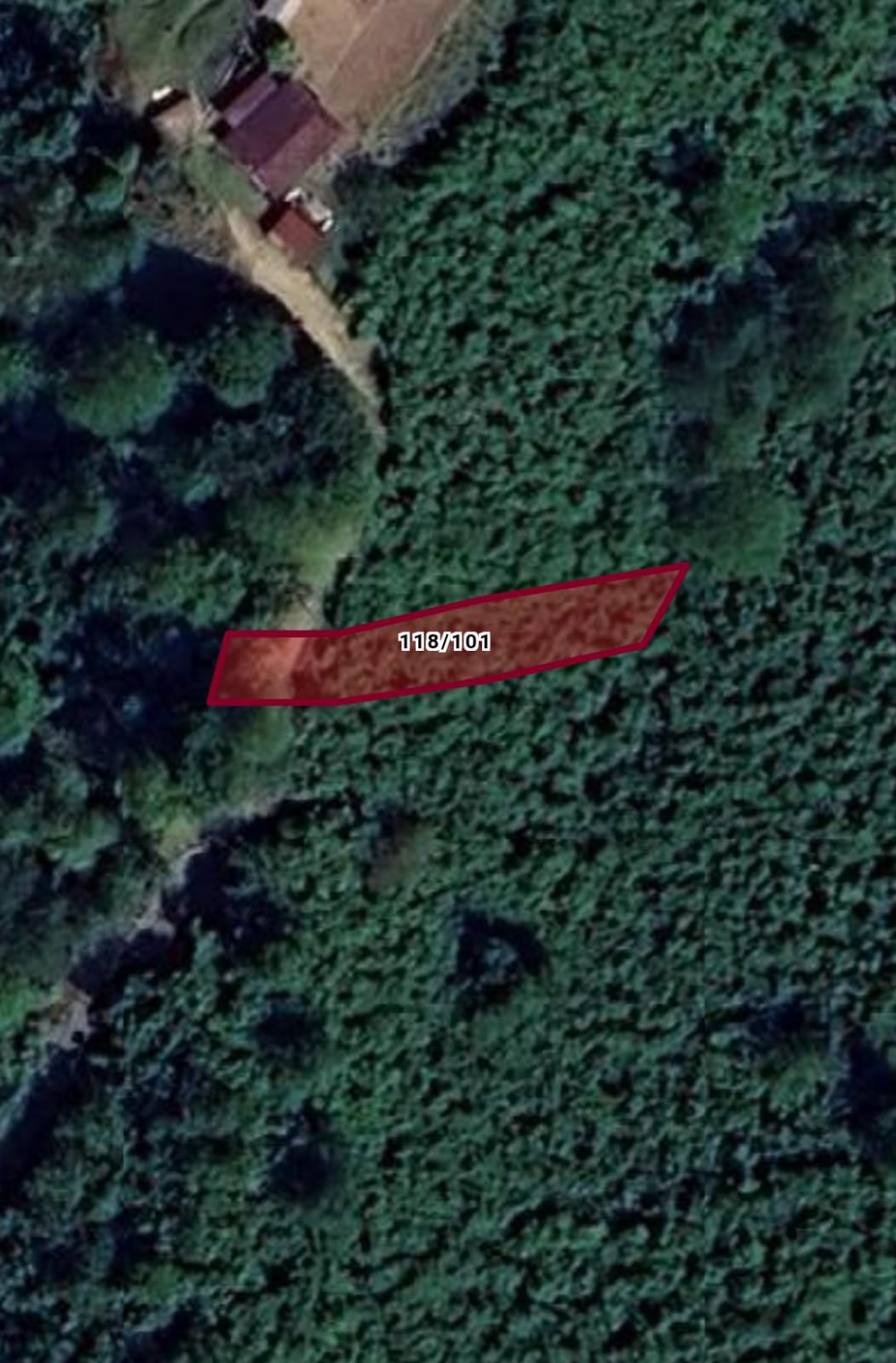Giresun Görele Esenyurt 319 MT² kare fındık bahçemiz satiliktir - GİRESUN GÖRELE fotoğraf 4